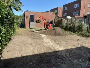 boomverzorging_heteren_Betuwe_hoveniers_6.jpg