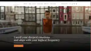 webdesign_rijswijk_Maxone_Webdesign_2.jpg