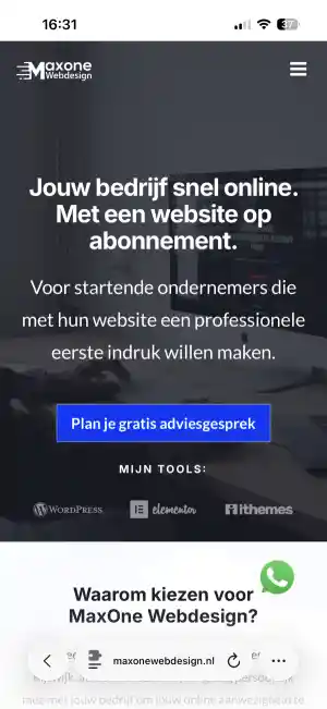 webdesign_rijswijk_Maxone_Webdesign_7.jpg