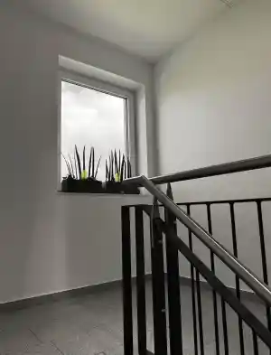 Treppenhausreinigungen in Limbach-Oberfrohna, Chemnitz & Umgebung.jpg