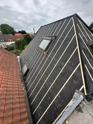 🏠 Pannendak Renovatie – Vakwerk tot in Detail.jpg