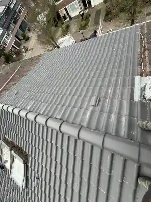 dakgoot_leiden_EA_Dakonderhoud_6.jpg