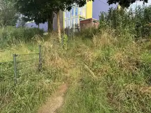 Looppad vrijgemaakt .jpg