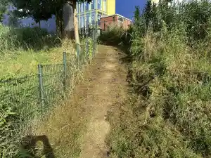 Looppad vrijgemaakt .jpg