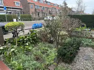 Snoeien en winterklaar maken van de de tuin.jpg