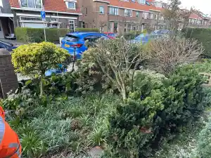Snoeien en winterklaar maken van de de tuin.jpg