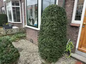 Snoeien en winterklaar maken van de de tuin.jpg