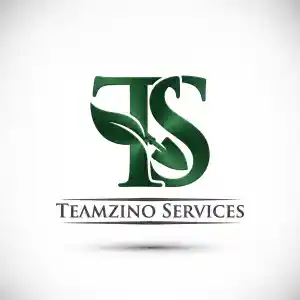 teamzino services.jpg