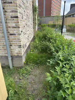 Aanleggen bestrating, Grindpad .jpg