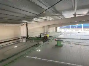 electricista_benavente_SOLUCIONES_ELECTRICAS_DESALUX_SL_7.jpg