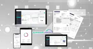 diseno-web_binefar_Programación_Integral_-_Software_de_gestión_empresarial_2.jpg