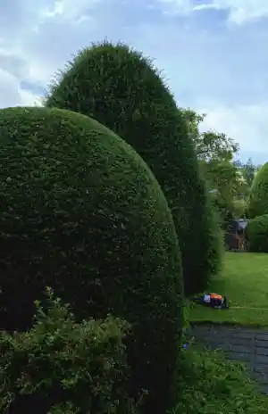 gartner_kelkheim-taunus_Gartenpflege_Krämer_7.jpg