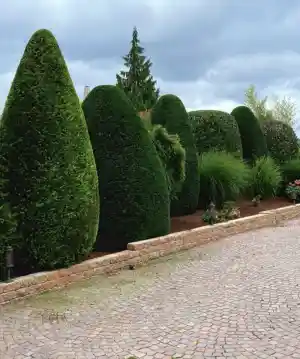 gartner_kelkheim-taunus_Gartenpflege_Krämer_6.jpg
