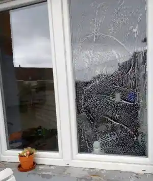 glazenwasser_wervik_Hb.service_leeghalen_woningen_en_algemene_schoonmaak__6.jpg