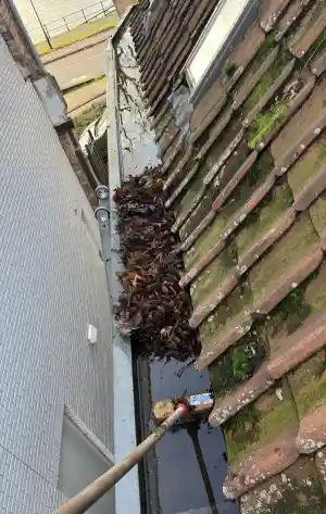 Reinigen zonnepanelen en dakgoten.jpg