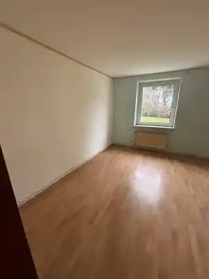 hausmeisterservice_stolberg-rheinland_PlatzProfis_7.jpg