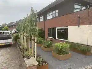 hovenier_assen_Tuinservice_Scholing_2.jpg