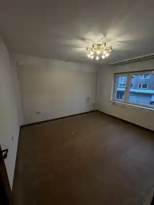 entrumpelung_neuss_Rümpel_Rhino_7.jpg
