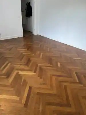 maler_neum%C3%BCnster_S&S_Innenausbau_3.jpg