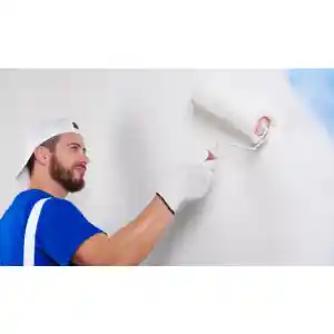 Senza schilderwerken.jpg