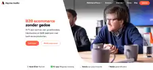 webdesign_groningen_Aquive_Media_-_ecommerce_voor_B2B_bedrijven_4.jpg