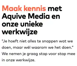 webdesign_groningen_Aquive_Media_-_ecommerce_voor_B2B_bedrijven_5.jpg