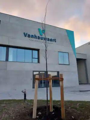 Aanplant jonge bomen.jpg