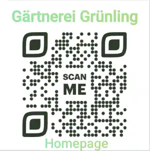 gartner_belm_Gärtnerei_Grünling__3.jpg