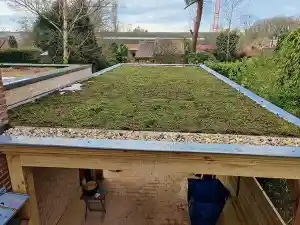 tuinaanleg-en-tuinonderhoud_laakdal-vorst_B-projects_6.jpg