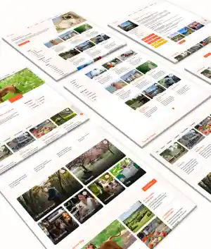 Redesign & maatwerk ontwikkeling Hondsdol website.jpg