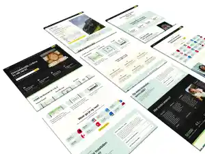 Maatwerk ontwikkeling Gosim WordPress website.jpg