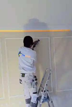 Probrush Schilder.jpg