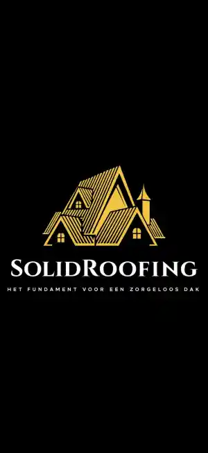 dakgoot_hilversum_SolidRoofing_B.V._2.jpg