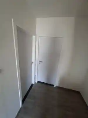 klusjesman_ravels_robin_wood_4.jpg