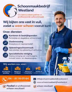 schoonmaakbedrijf_wateringen_Schoonmaakbedrijf_Westland_3.jpg