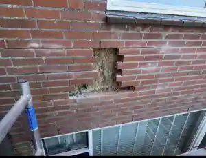 Herstel metselwerk en scheuren in gevel.jpg