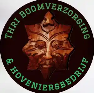 boomverzorging_ter-apelkanaal_THRI_Boomverzorging_&_Hoveniersbedrijf__2.jpg