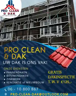 Pro Clean Dak.jpg