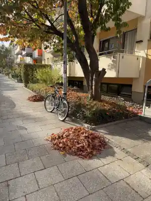 reinigungsfirma_m%C3%BCnchen_Unik_Hausmeister_Reinigungsservice__6.jpg