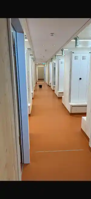 Unterhalts/Fenster-Reinigung einer Schule .jpg