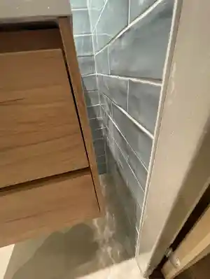 Kitten van badkamer.jpg