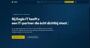 Eagle IT — Managed Services Website.jpg