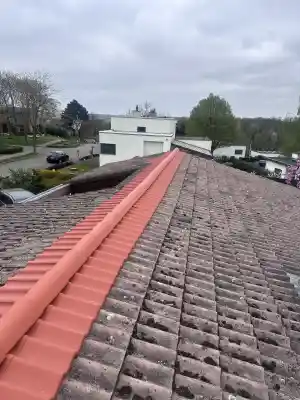 Nokvorst renovatie .jpg