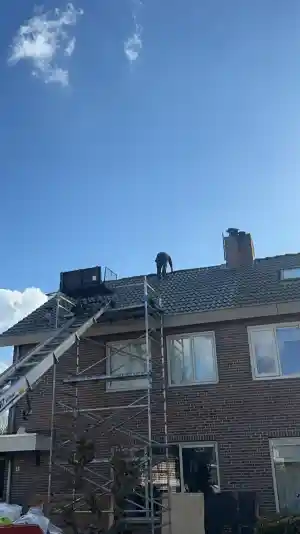 Dakspecialist multi renovatie Nederland .jpg