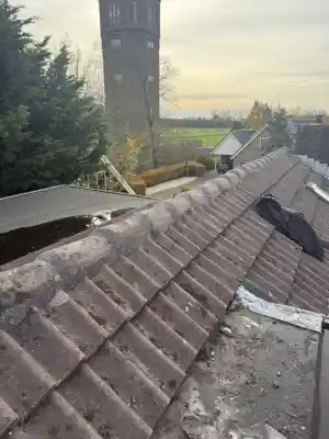 Nokvorsten aangesmeerd .jpg