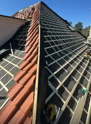 Pannendak renovatie .jpg