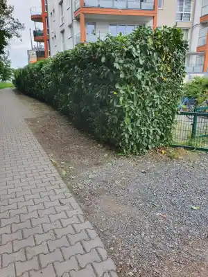 gartner_leverkusen_Team_Wester_Garten_Landschaftbau_G_B_R_7.jpg