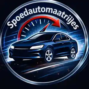 Spoedautomaatrijles.jpg