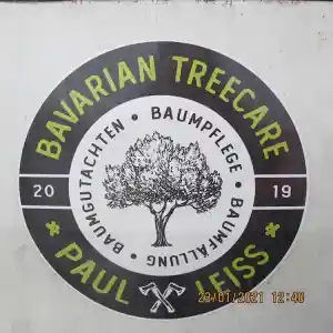 gartner_donauw%C3%B6rth_Bavarian_Treecare_Paul_Leiss_2.jpg
