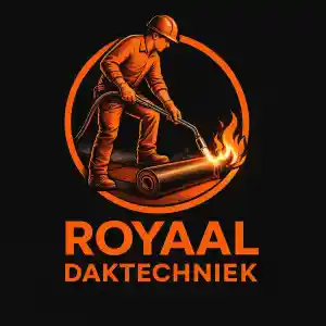 dakgoot_delft_Royaaldaktechniek__2.jpg